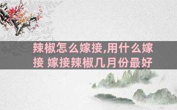 辣椒怎么嫁接,用什么嫁接 嫁接辣椒几月份最好